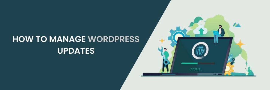 How to Manage WordPress Updates