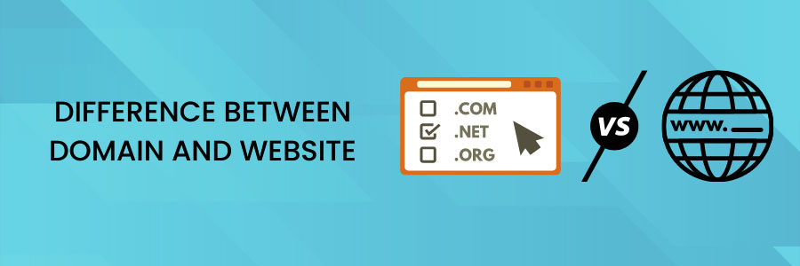 Difference between domain and website