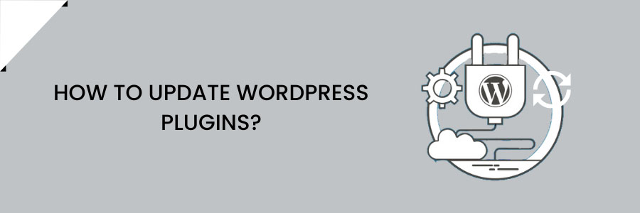 How To Update WordPress Plugins?