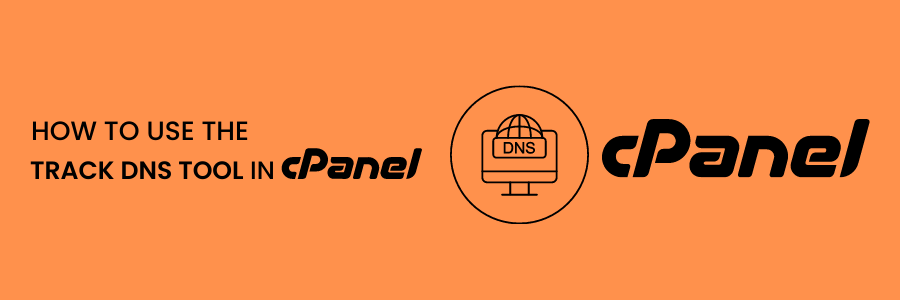 How to Use the Track DNS Tool in cPanel