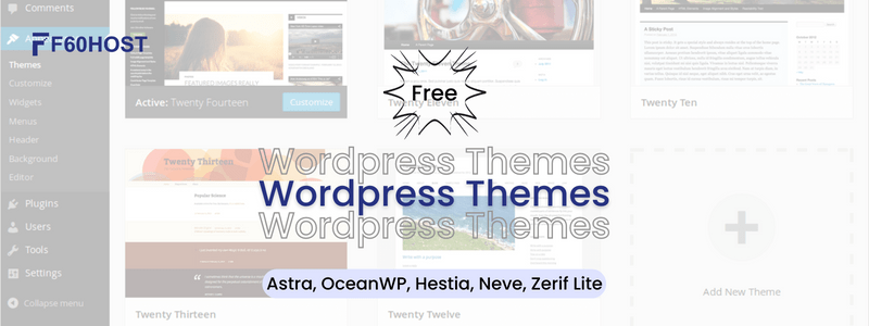 WordPress Themes