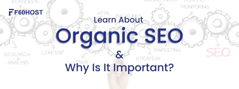 Organic SEO