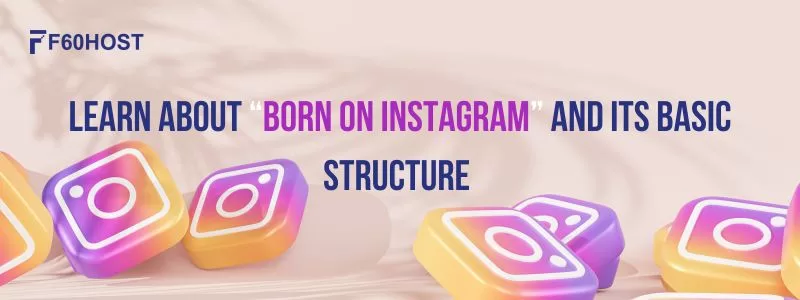 Learn About “Born on Instagram” and Its Basic Structure